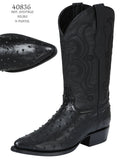 El Senor de los Cielos Ostrich Black 40836