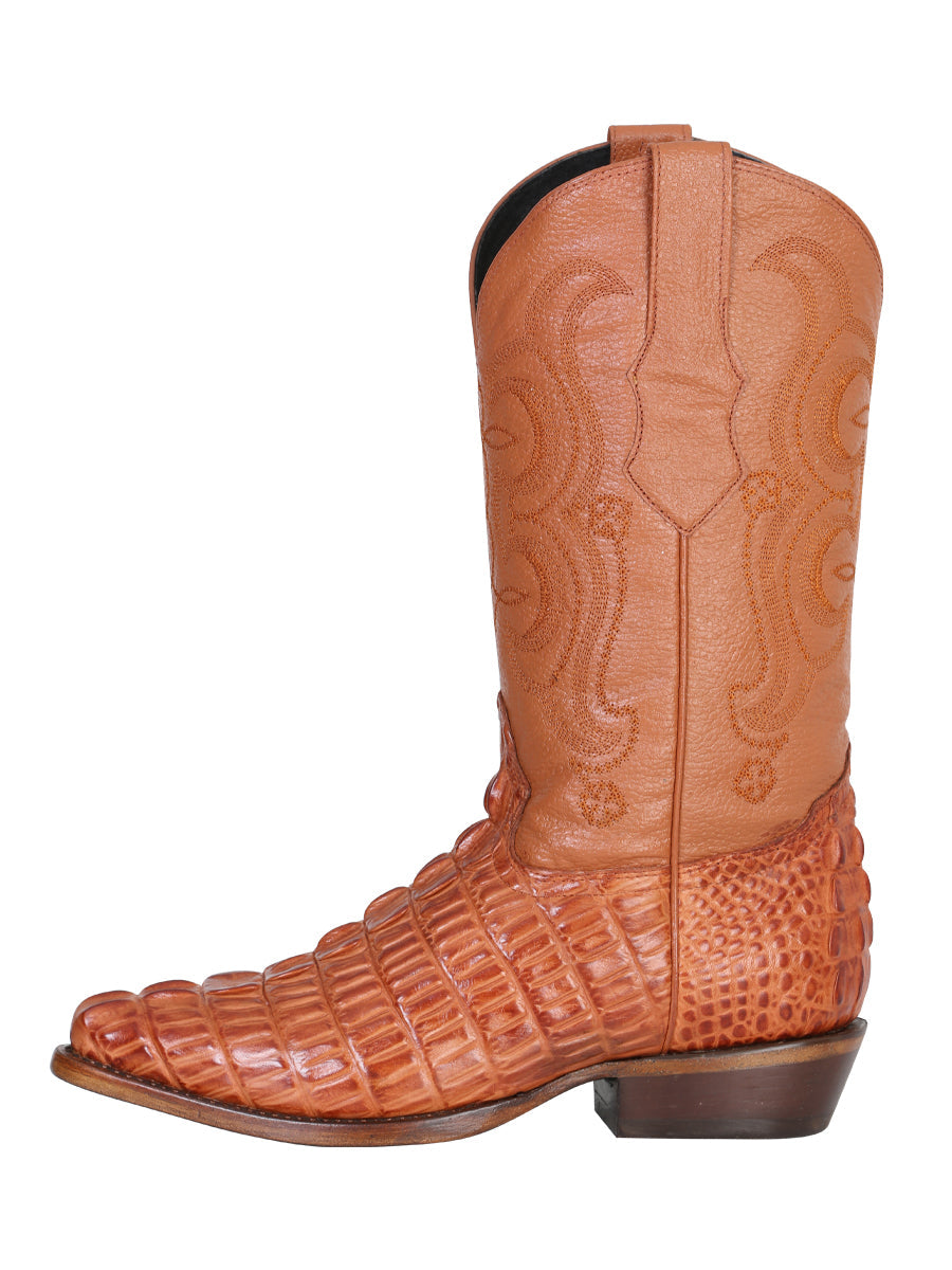 Caiman Cognac 40841