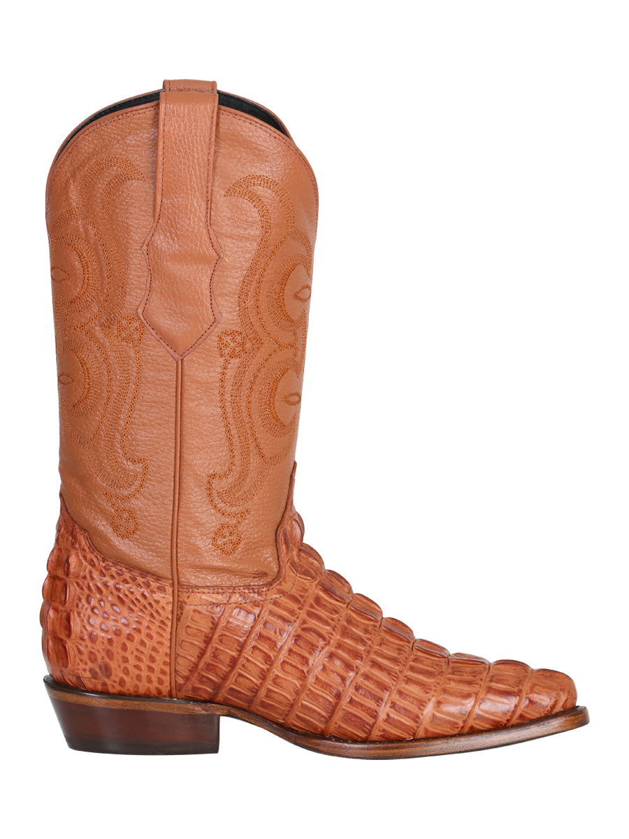 Caiman Cognac 40841