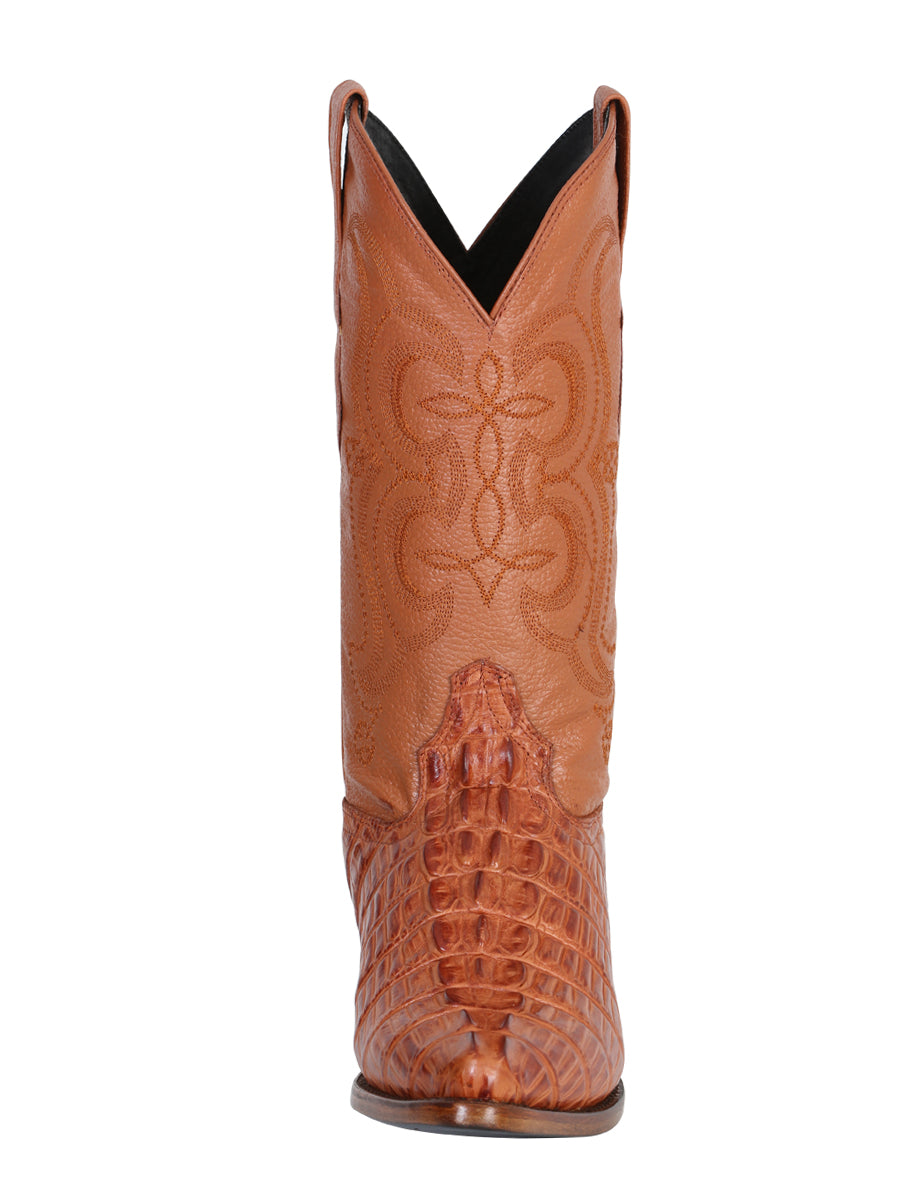 Caiman Cognac 40841