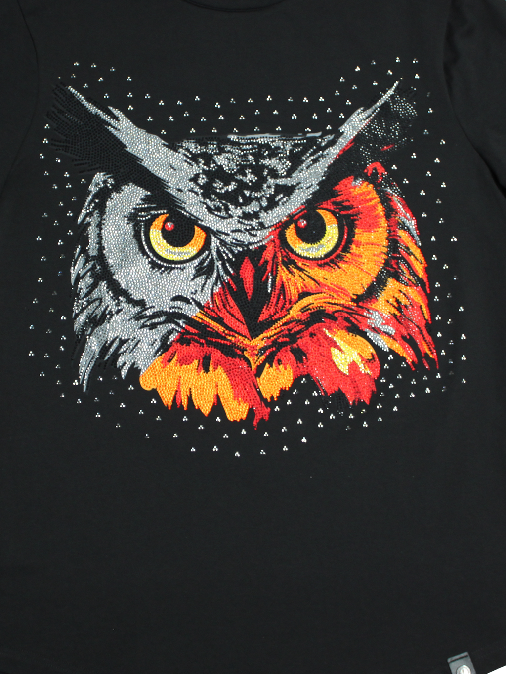 LAV94717 Owl Vision extra 2