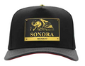 ZU-CAP-FT164SON - Sonora Mexico eagle plate snapback cap - front view