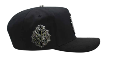 ZU-CAP-FT190 - Black Bad Bear money snapback cap - front view