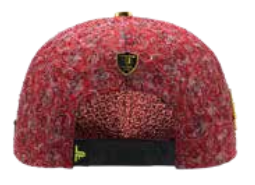 ZU-CAP-FT202 - Burgundy paisley compass star snapback cap - front view